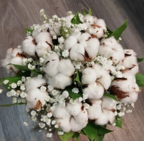 Bouquet de fleurs de cotons
